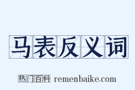 马表反义词是什么意思的图片